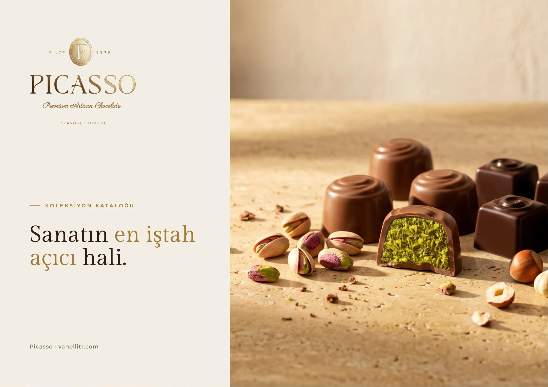 Picasso koleksiyon kataloğu kapağı